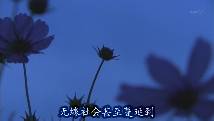 无缘社会 - 创建新的联系剧照的剧照