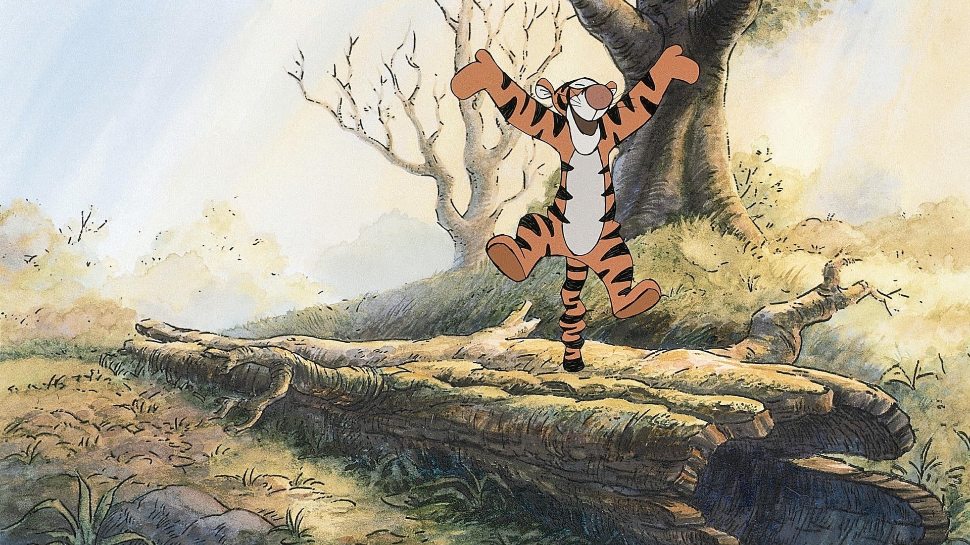 跳跳虎历险记剧照的剧照