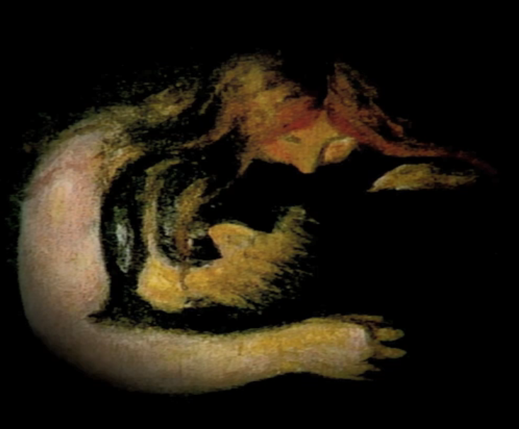 电影史-2A 单独的电影剧照的剧照