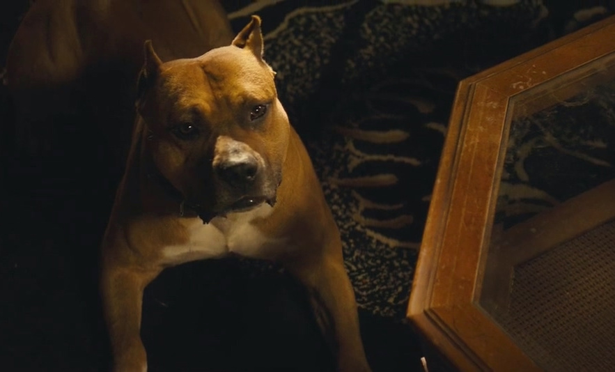 优步危机剧照的剧照