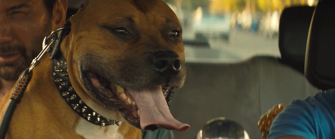 优步危机剧照的剧照