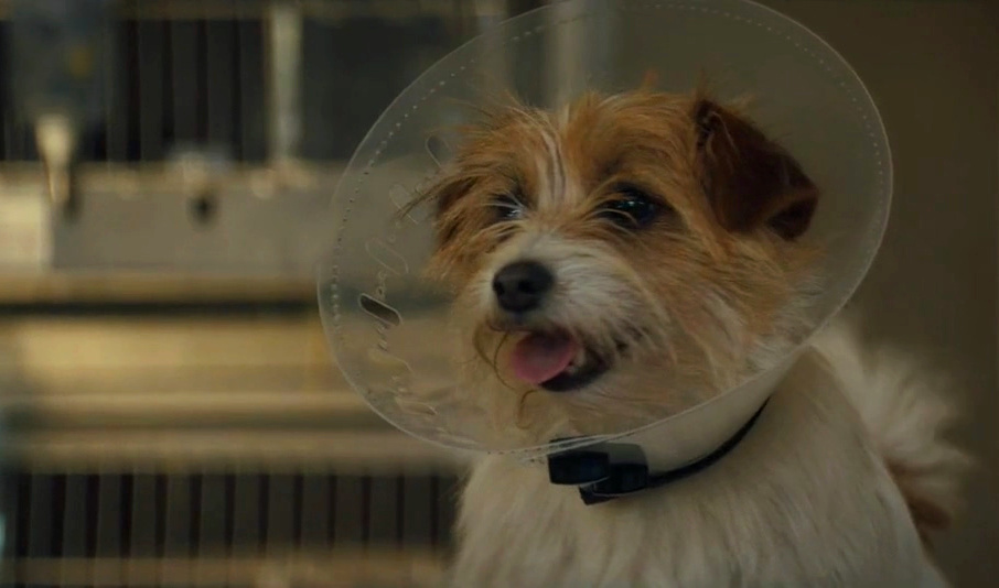 优步危机剧照的剧照