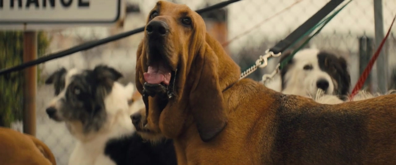 优步危机剧照的剧照