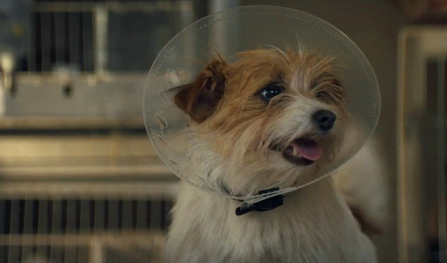 优步危机剧照的剧照