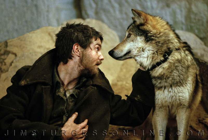 回来的路剧照的剧照