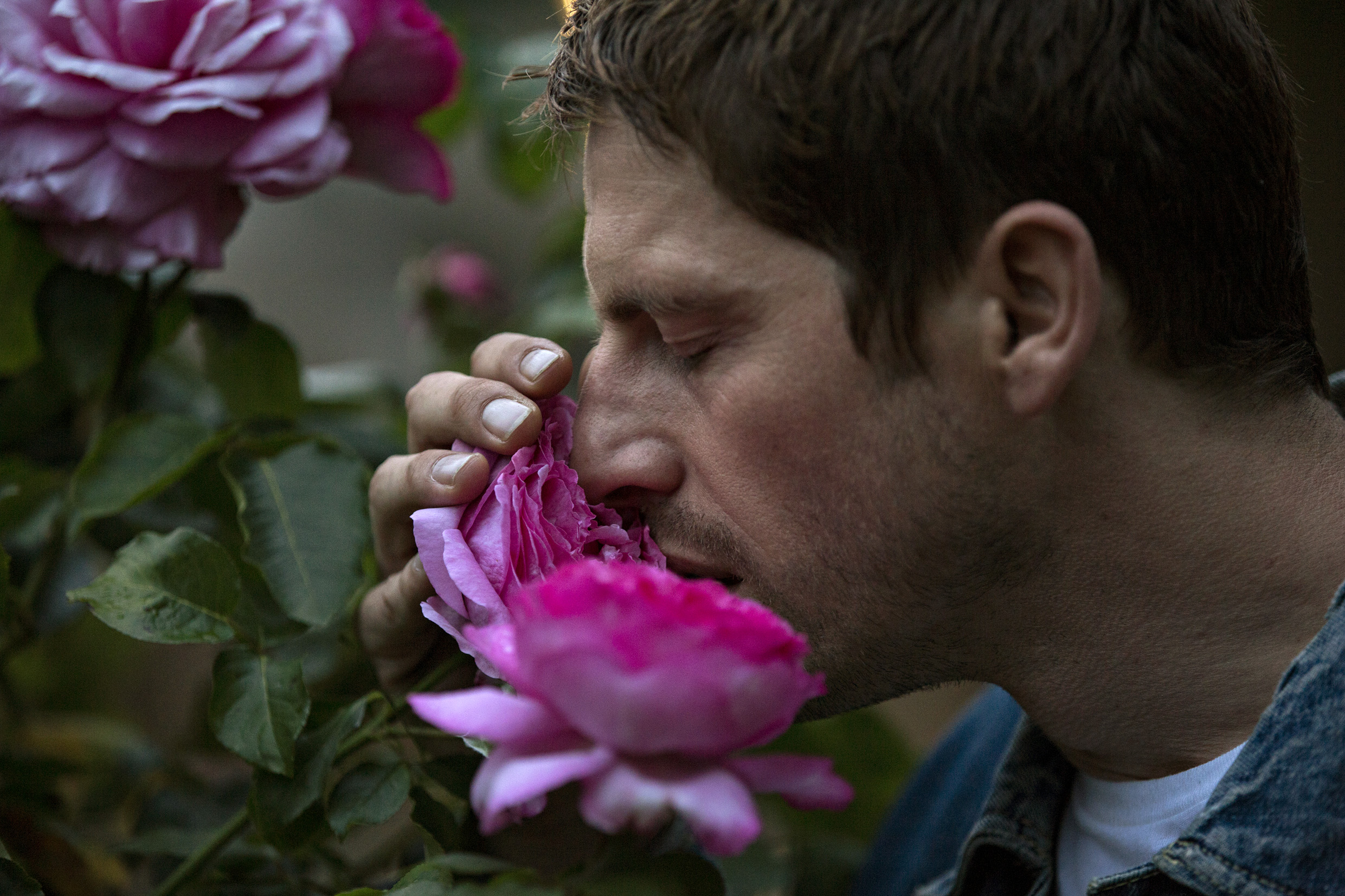 喜欢，轻吻，快跑剧照的剧照