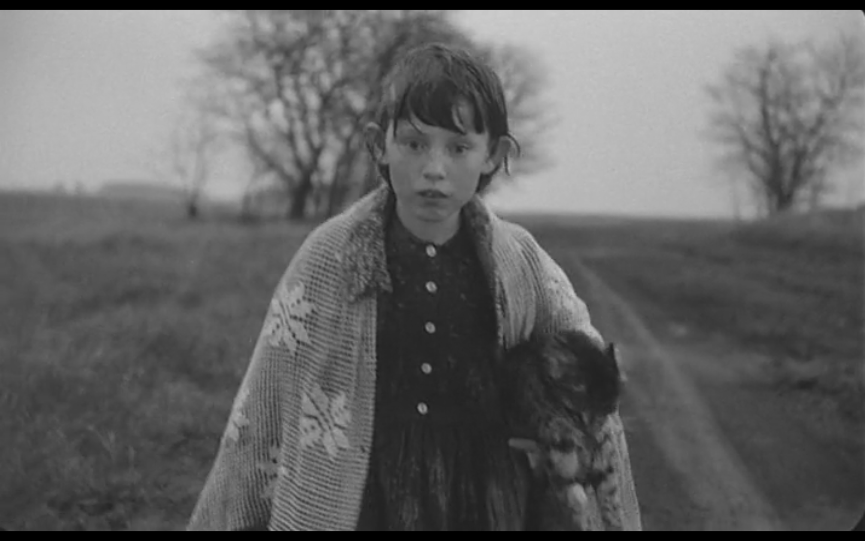 撒旦探戈剧照的剧照