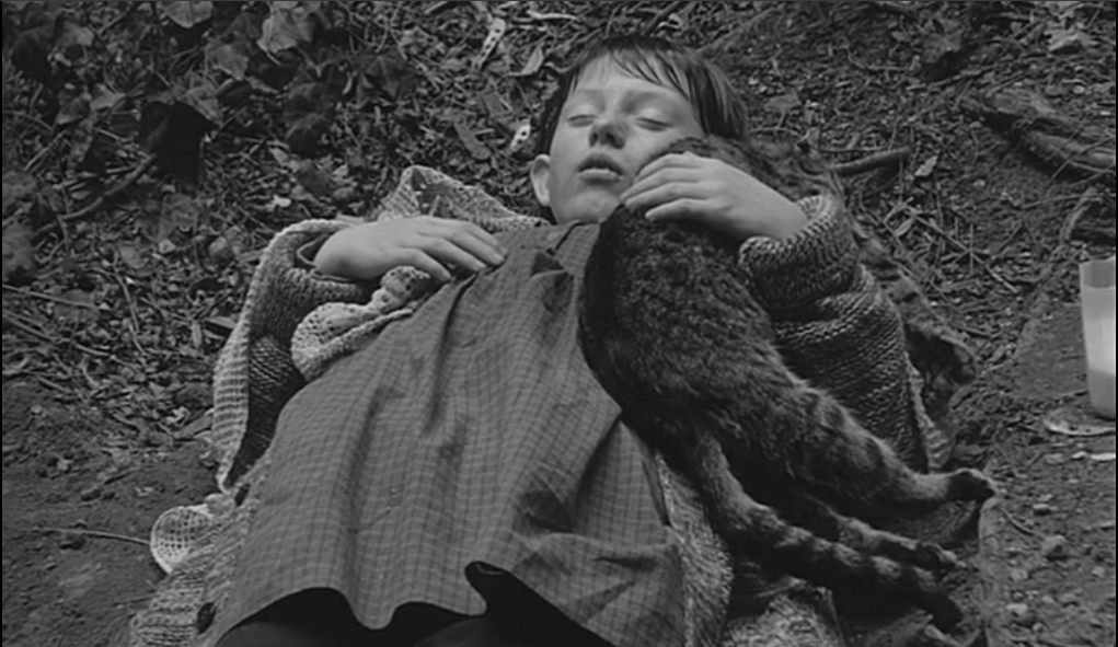 撒旦探戈剧照的剧照