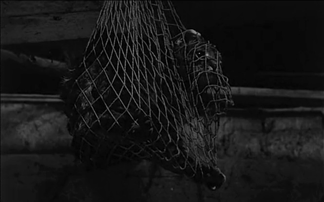 撒旦探戈剧照的剧照