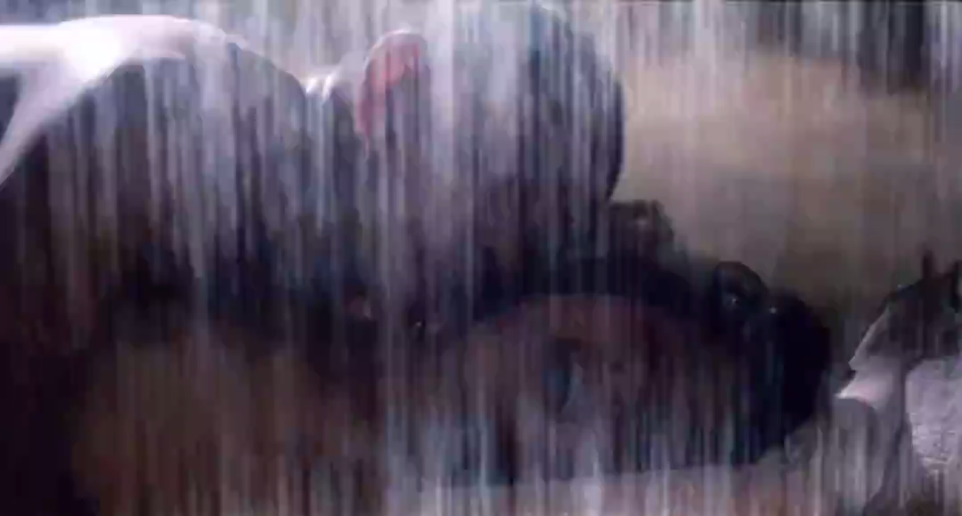 大鸿米店剧照的剧照