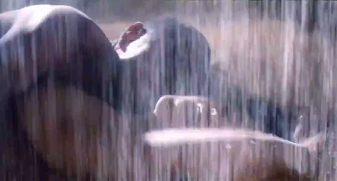 大鸿米店剧照的剧照