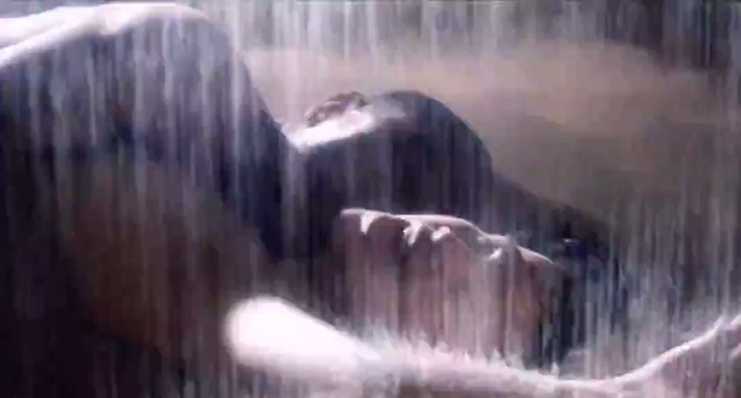 大鸿米店剧照的剧照