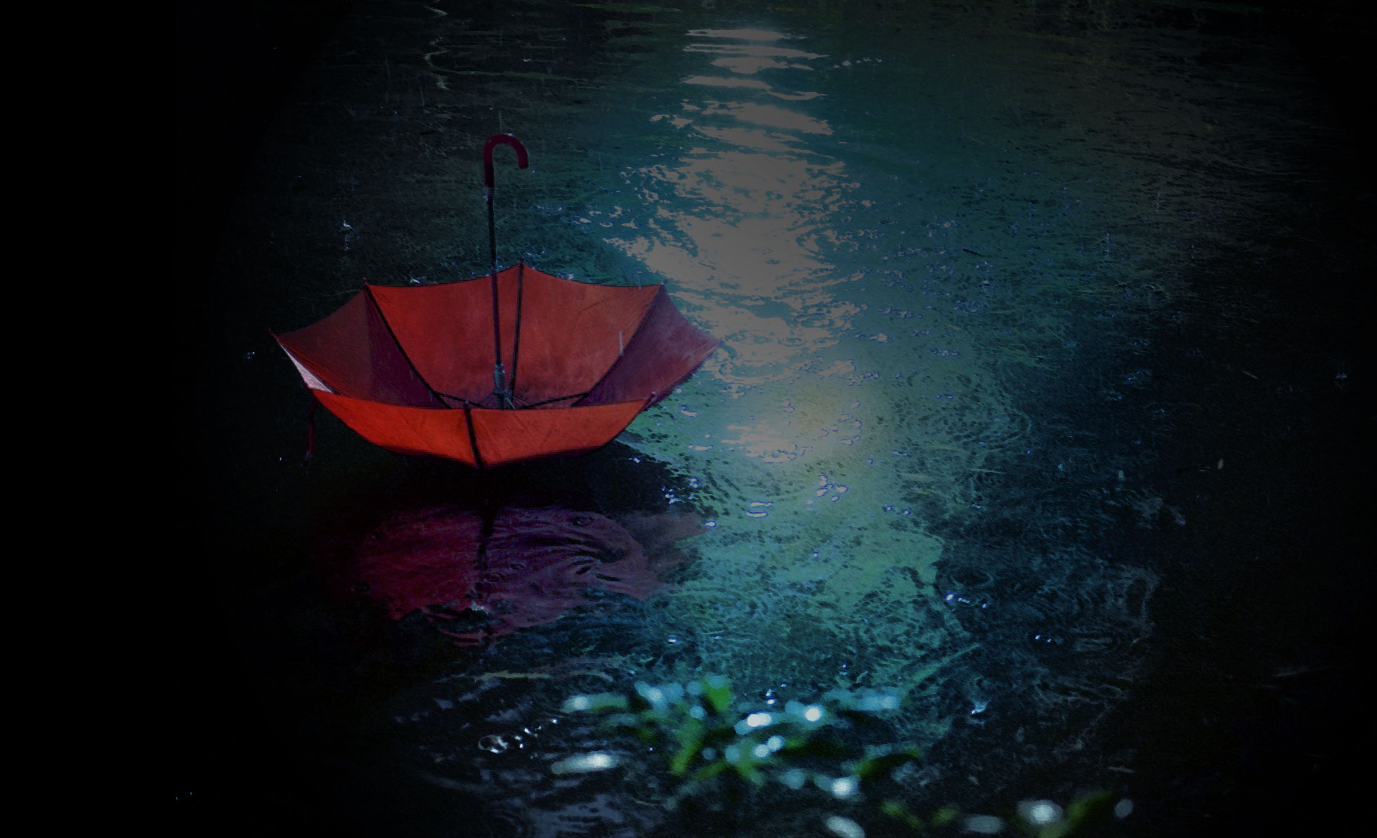 摇曳的心剧照的剧照