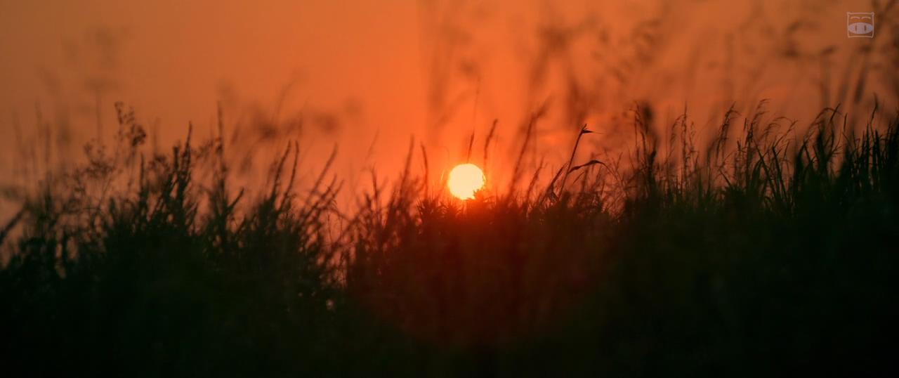 摇曳的心剧照的剧照