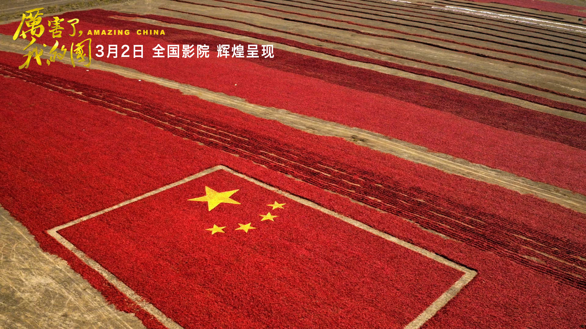 厉害了，我的国剧照的剧照