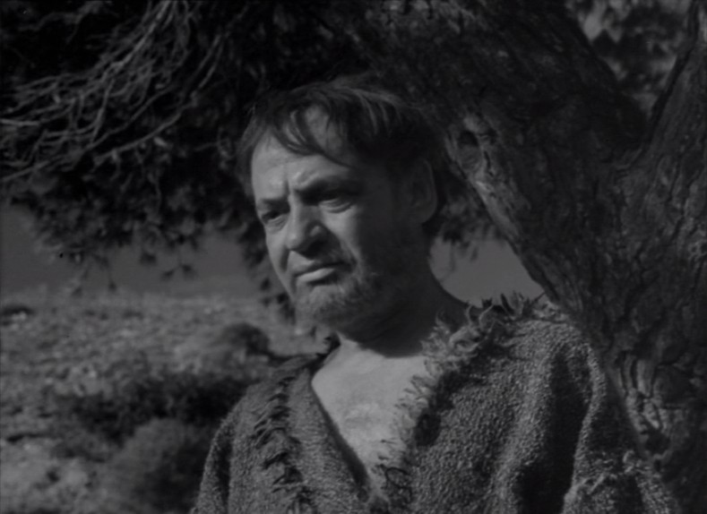 厄勒克特拉剧照的剧照