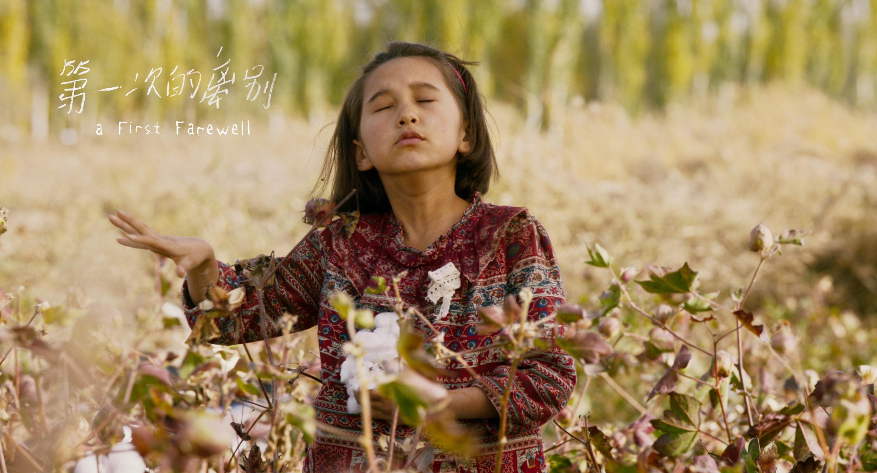 第一次的离别剧照的剧照