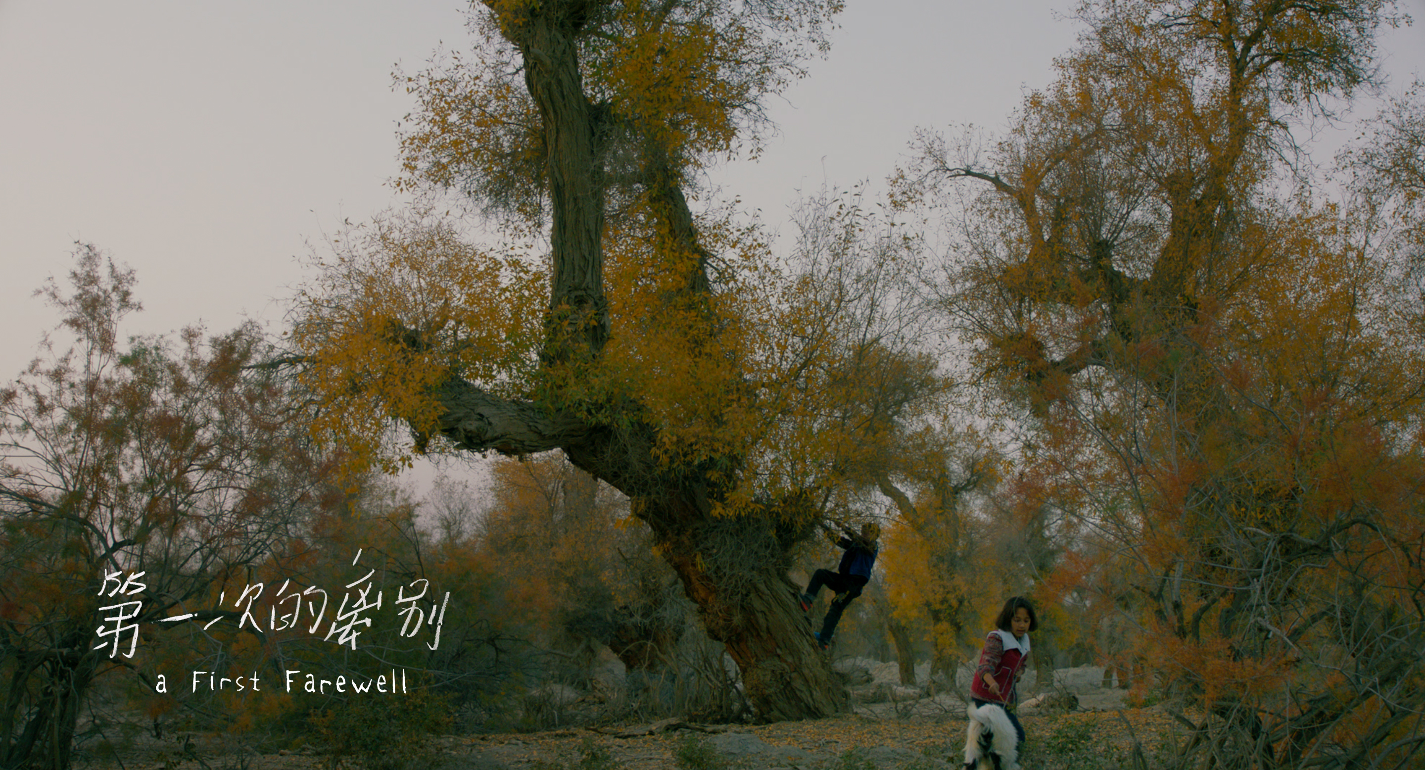 第一次的离别剧照的剧照