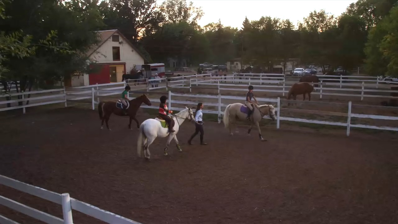 弗利卡3剧照的剧照