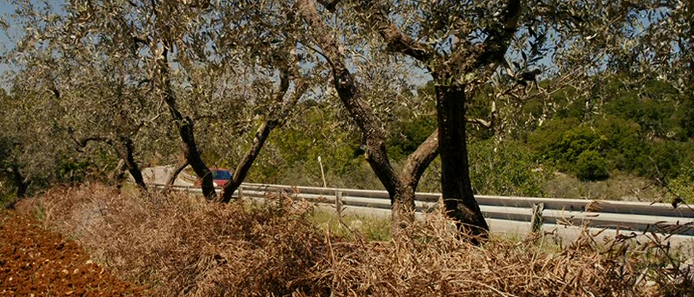 疲惫女人心剧照的剧照