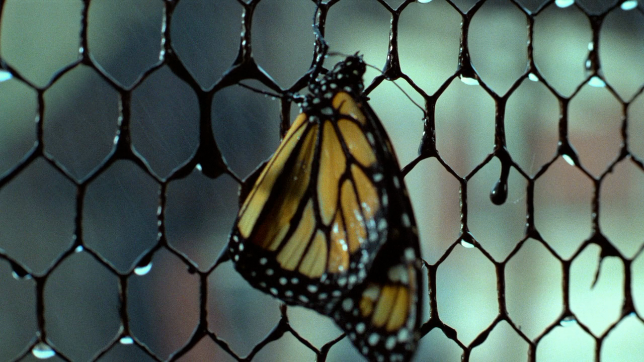 千惊万险剧照的剧照