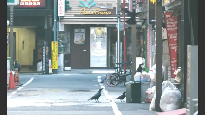 啊，荒野 后篇剧照的剧照