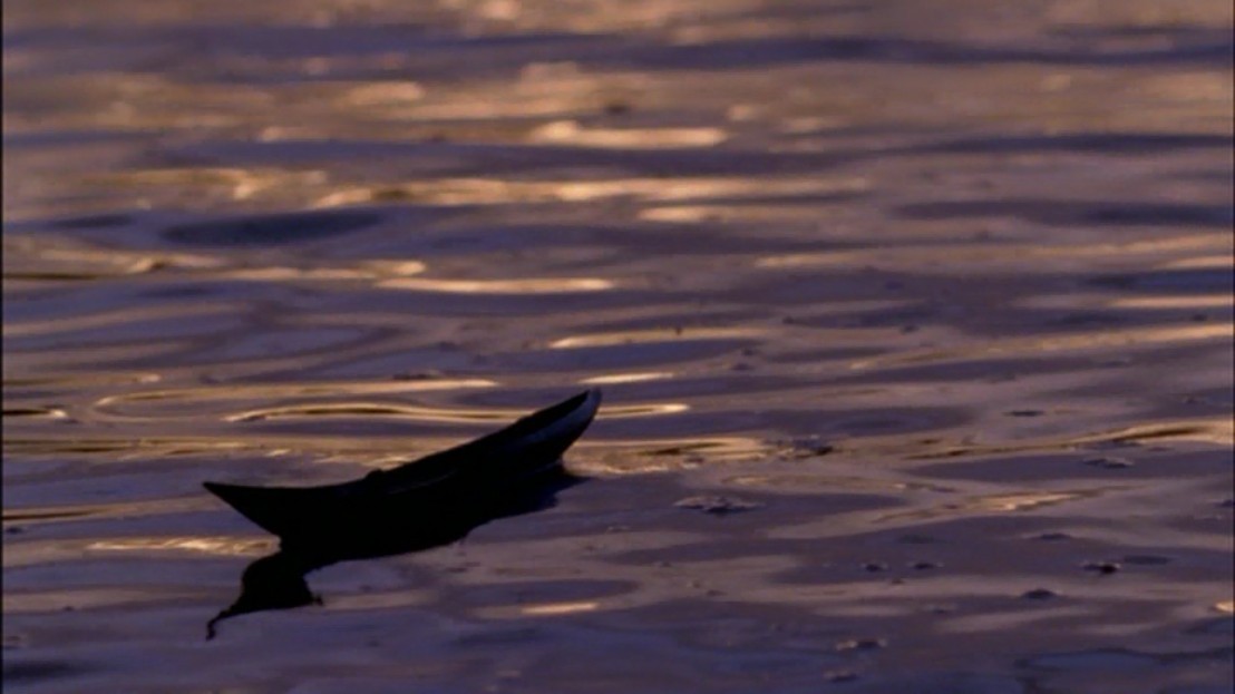 海啸之后剧照的剧照