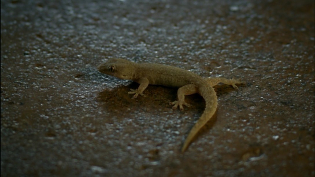 海啸之后剧照的剧照