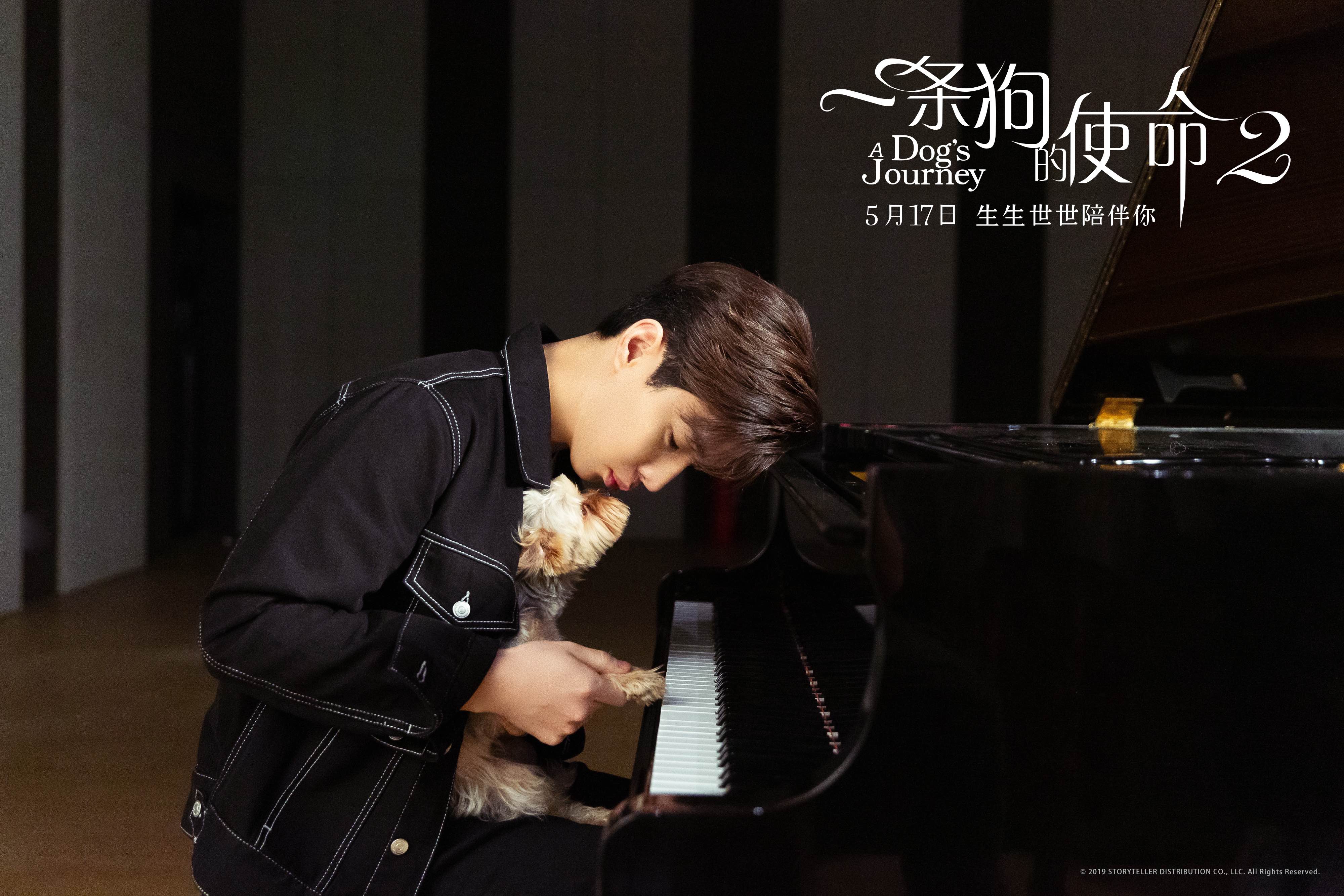 一条狗的使命2剧照的剧照