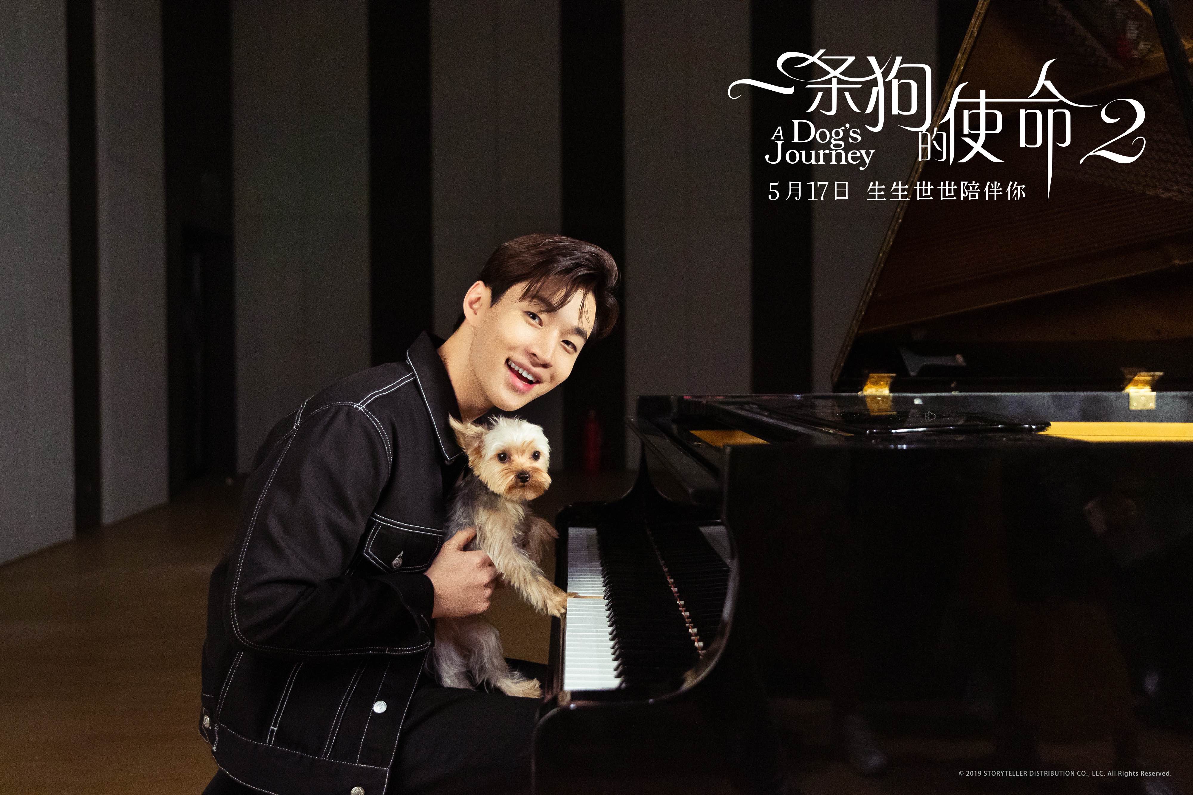 一条狗的使命2剧照的剧照