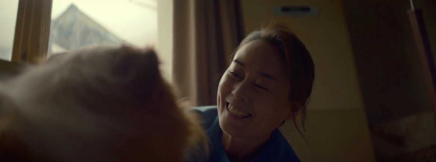 一条狗的使命2剧照的剧照