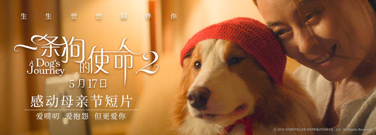 一条狗的使命2剧照的剧照