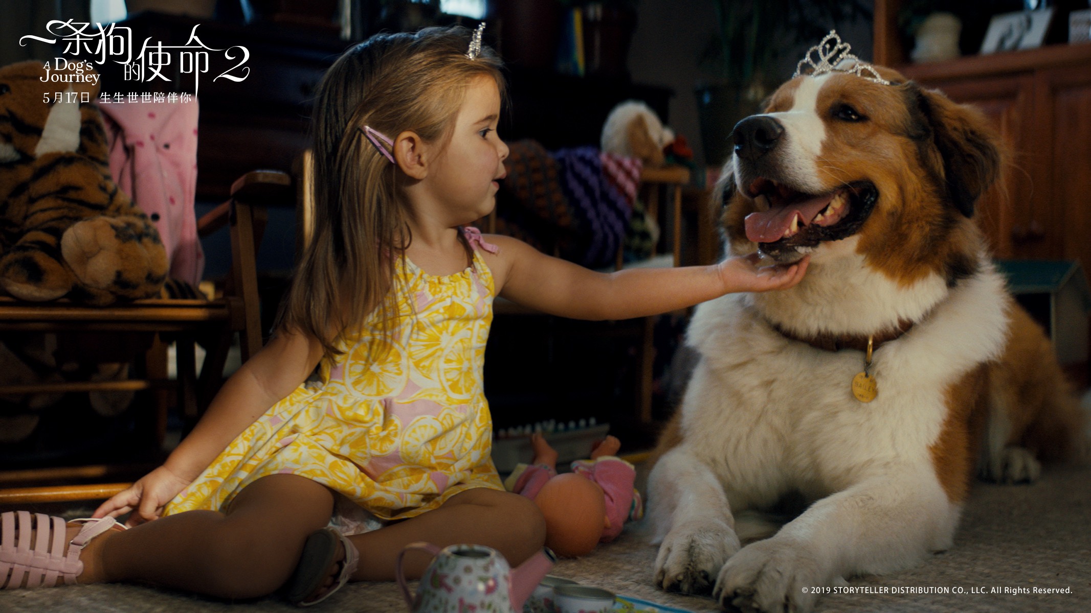 一条狗的使命2剧照的剧照