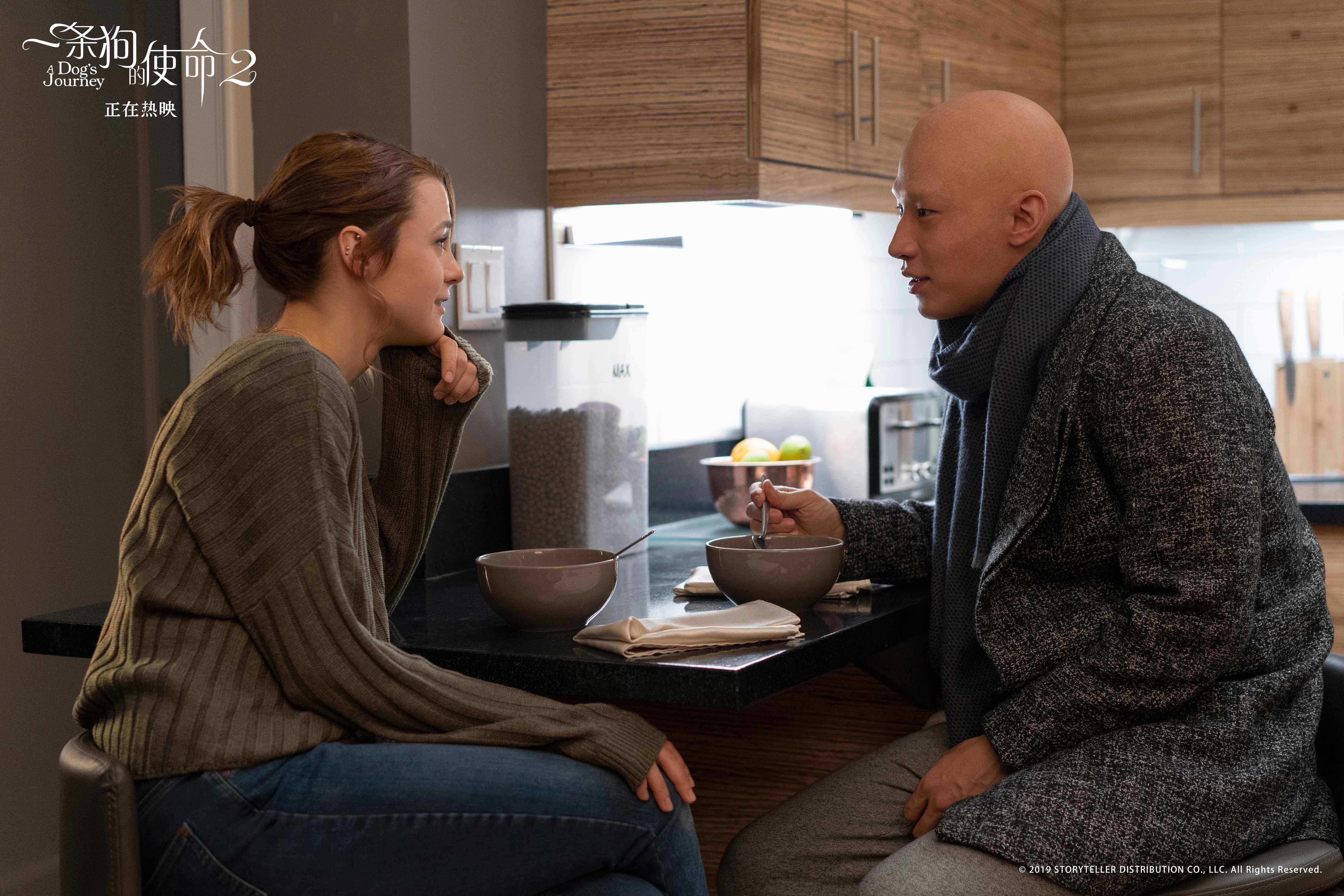 一条狗的使命2剧照的剧照