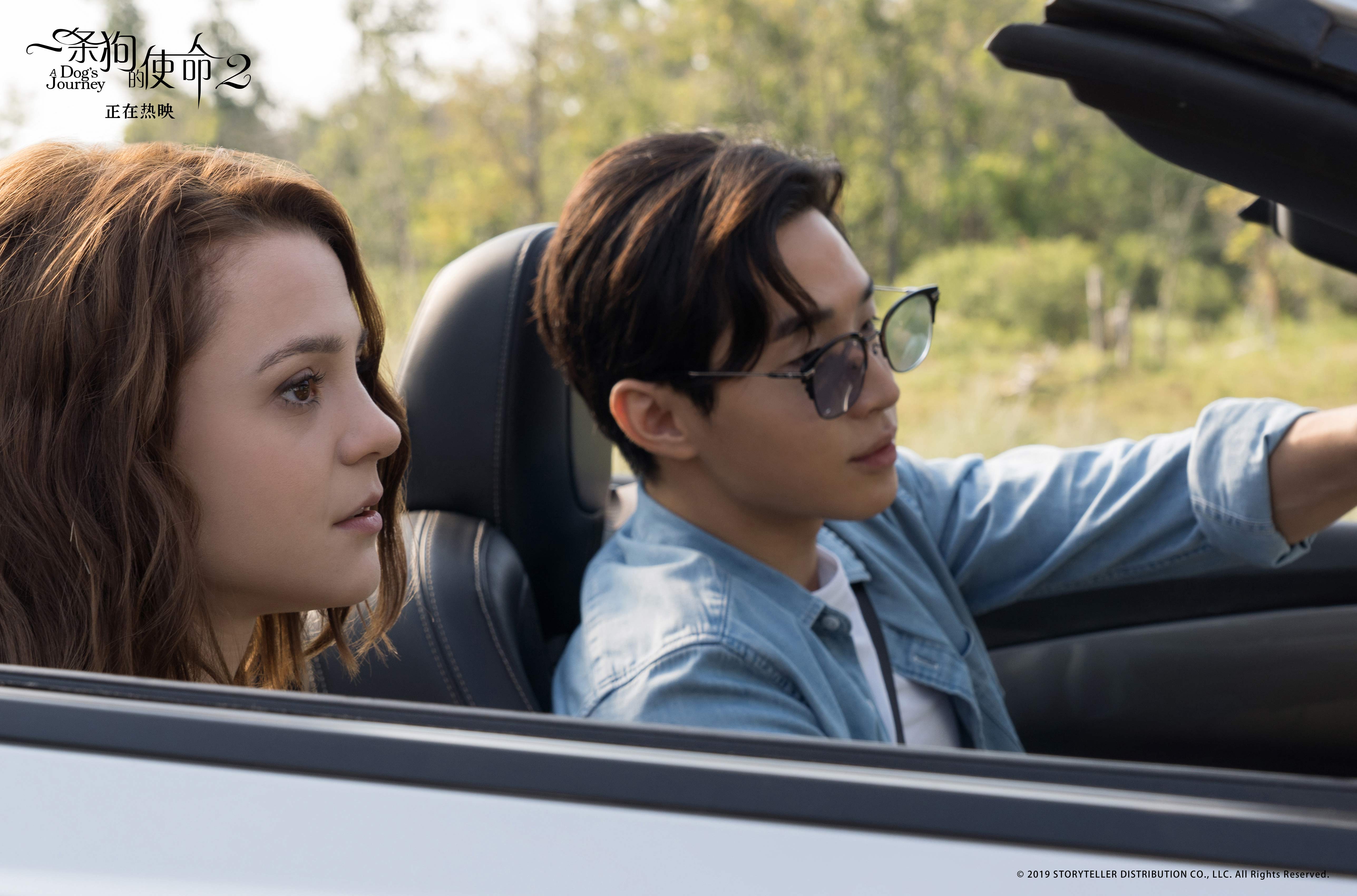一条狗的使命2剧照的剧照