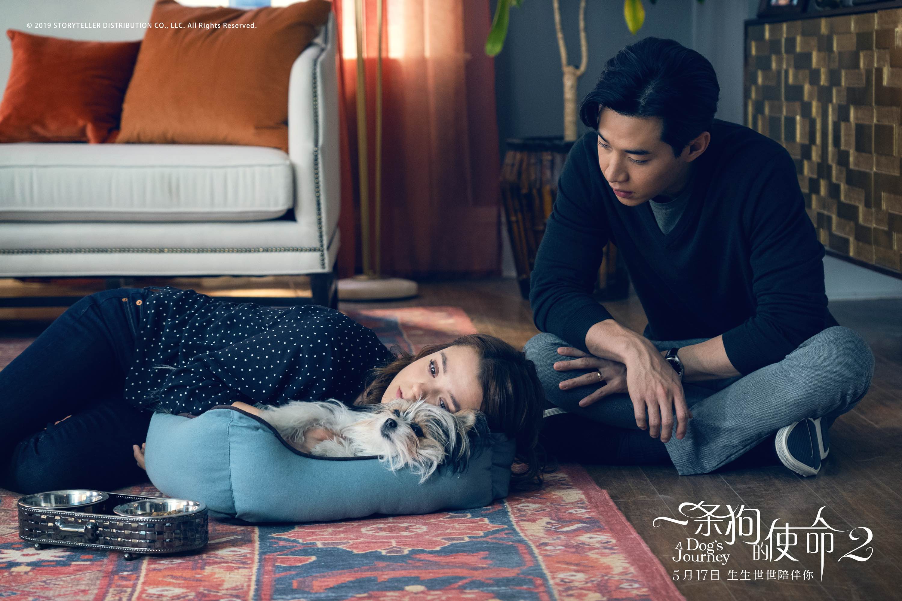 一条狗的使命2剧照的剧照