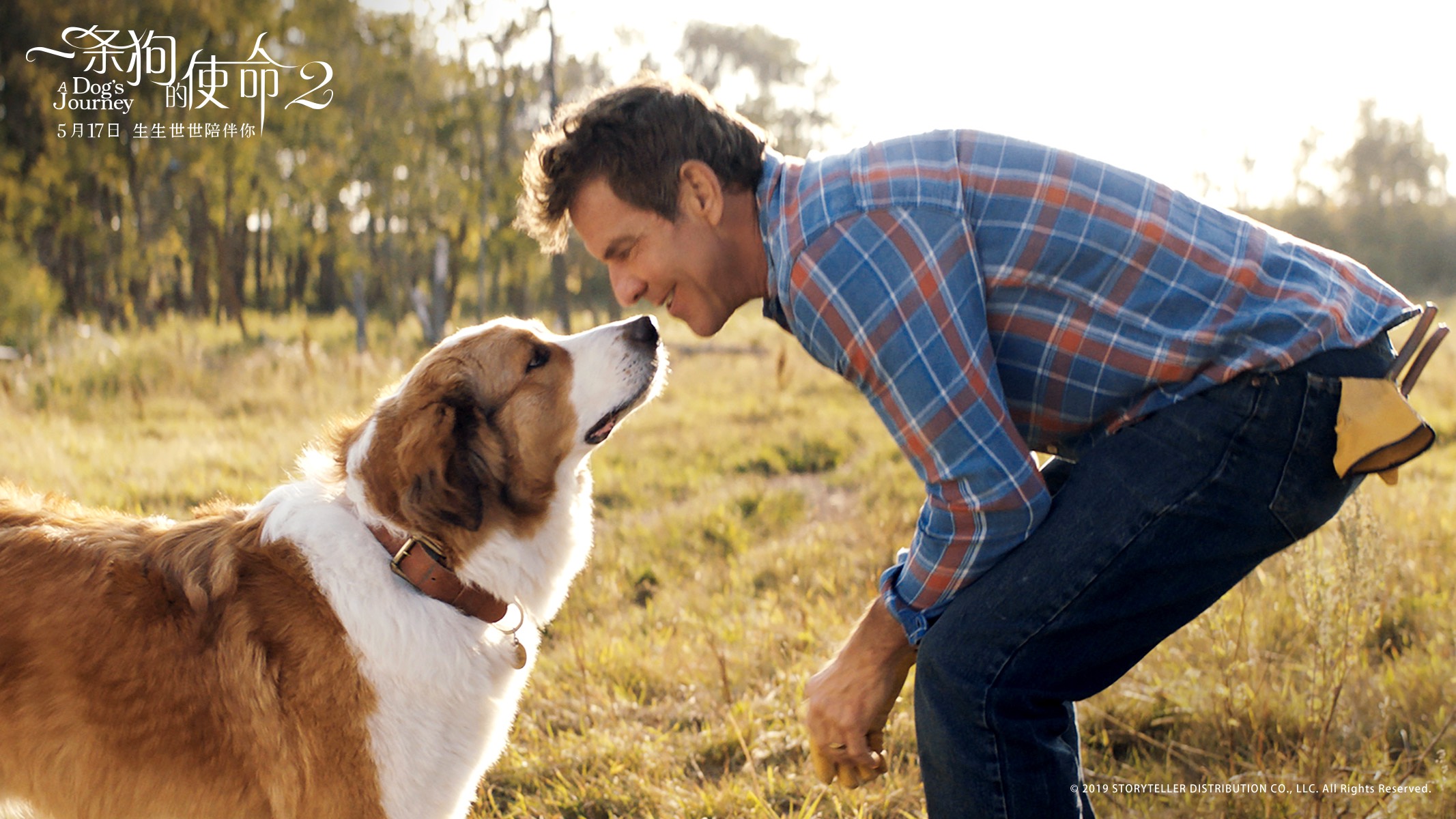 一条狗的使命2剧照的剧照