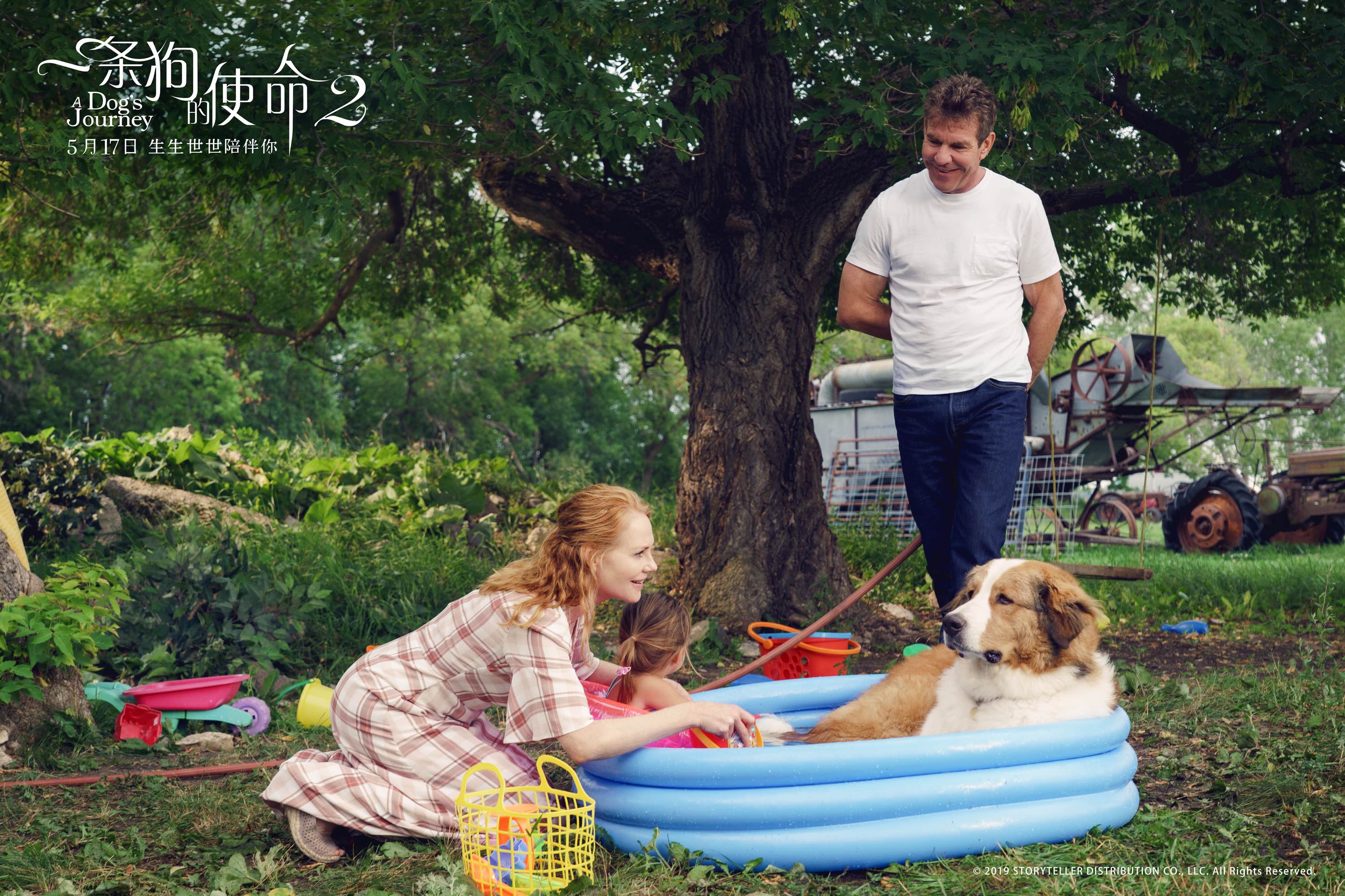 一条狗的使命2剧照的剧照