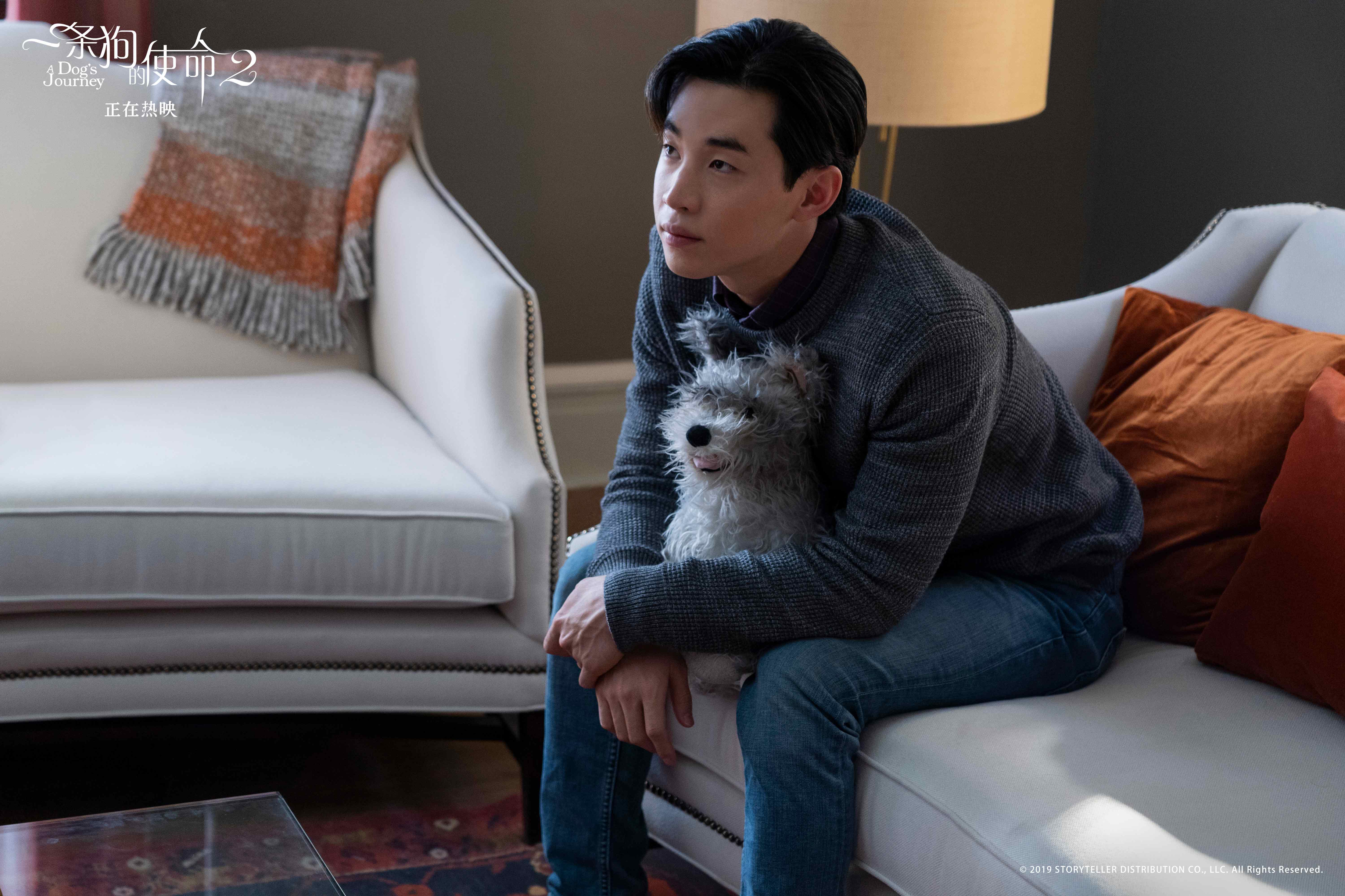 一条狗的使命2剧照的剧照