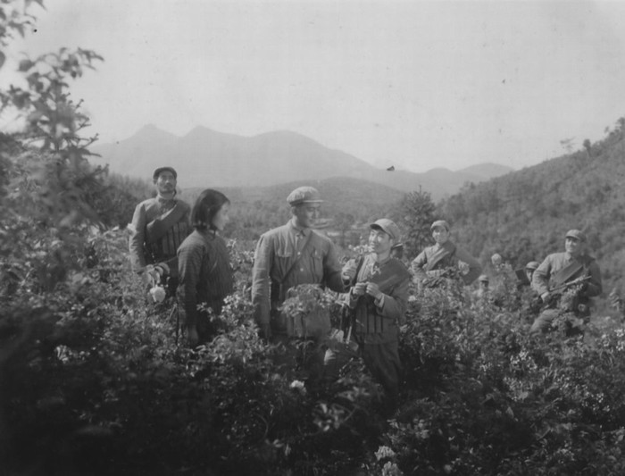 渡江侦察记剧照的剧照