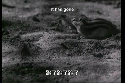 上甘岭剧照的剧照