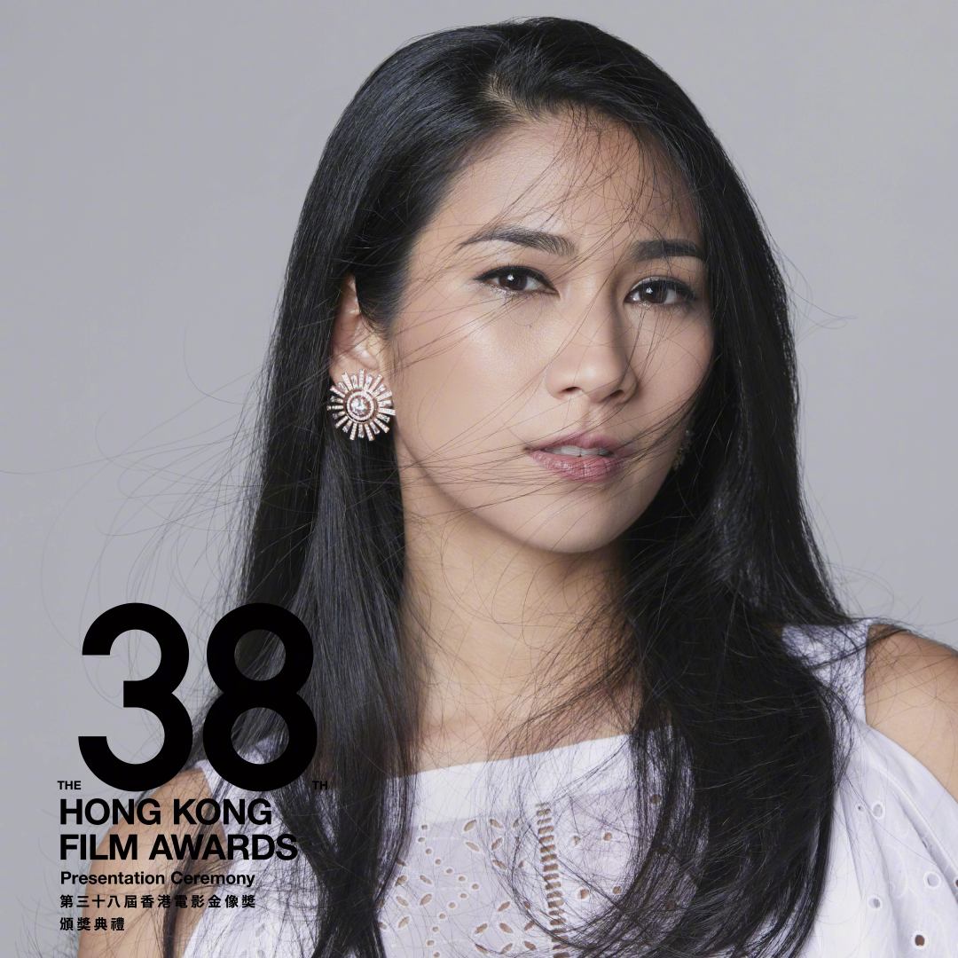 第38届香港电影金像奖颁奖典礼剧照的剧照
