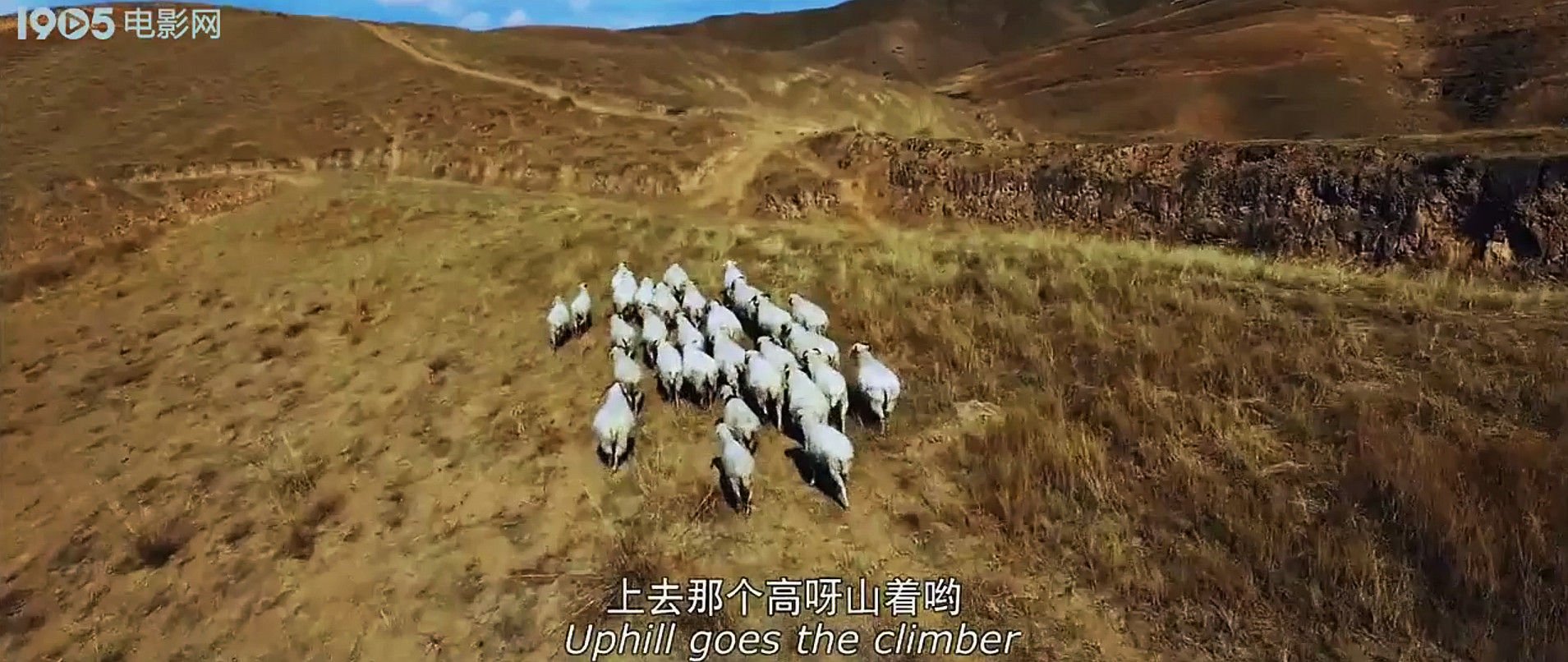 丢羊剧照的剧照