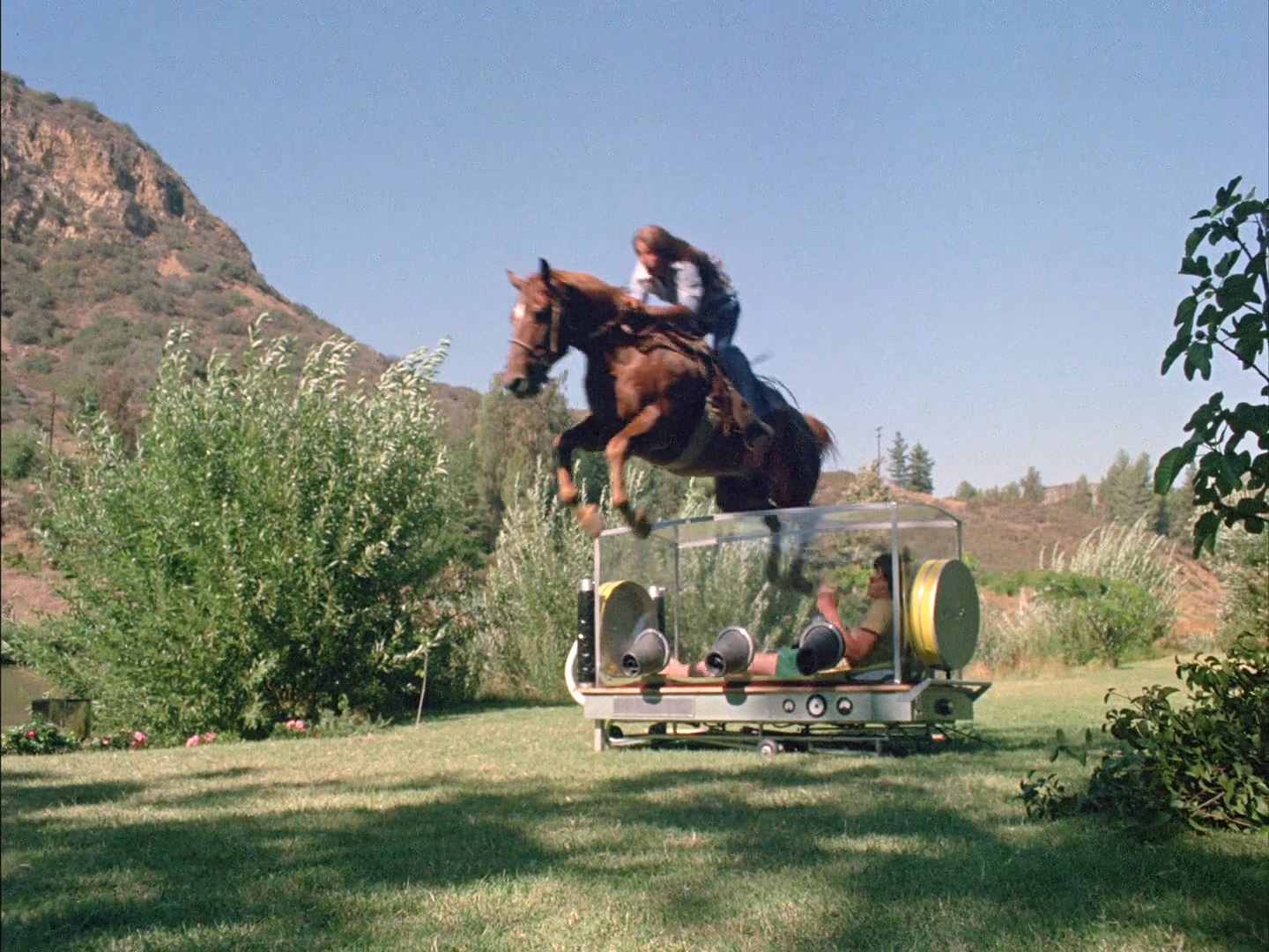 无菌罩内的少年剧照的剧照