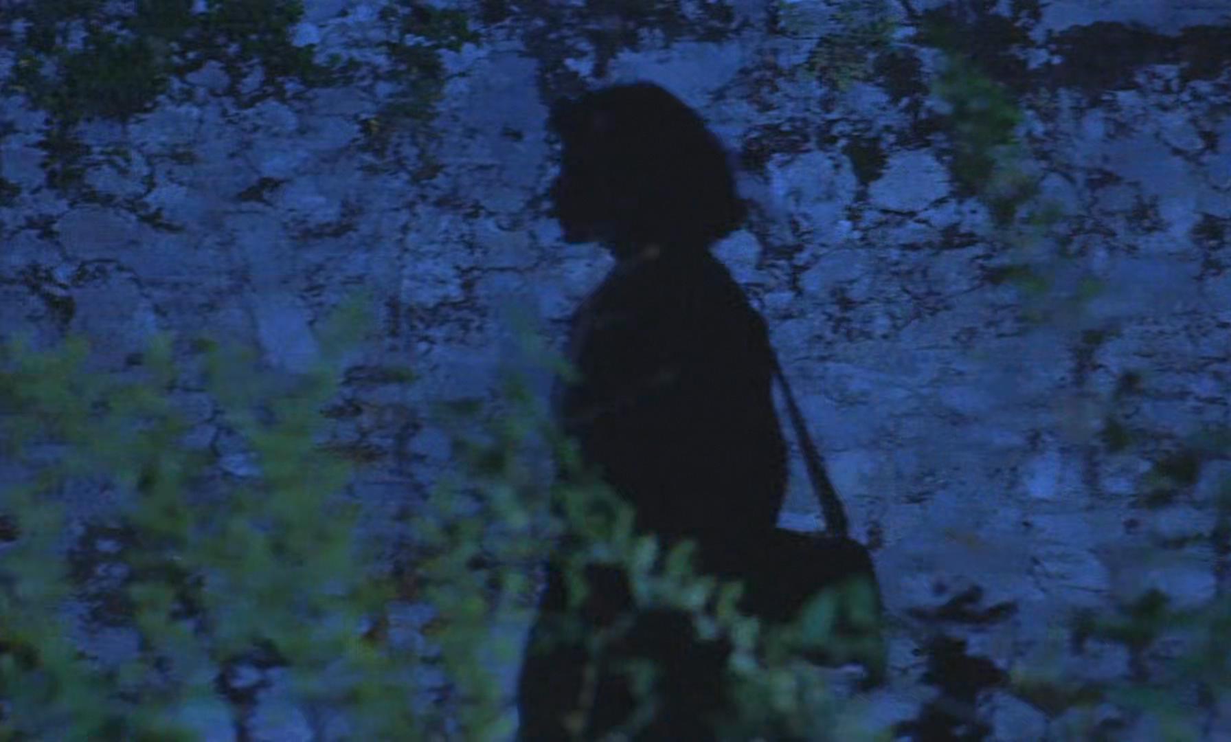 隔墙花剧照的剧照