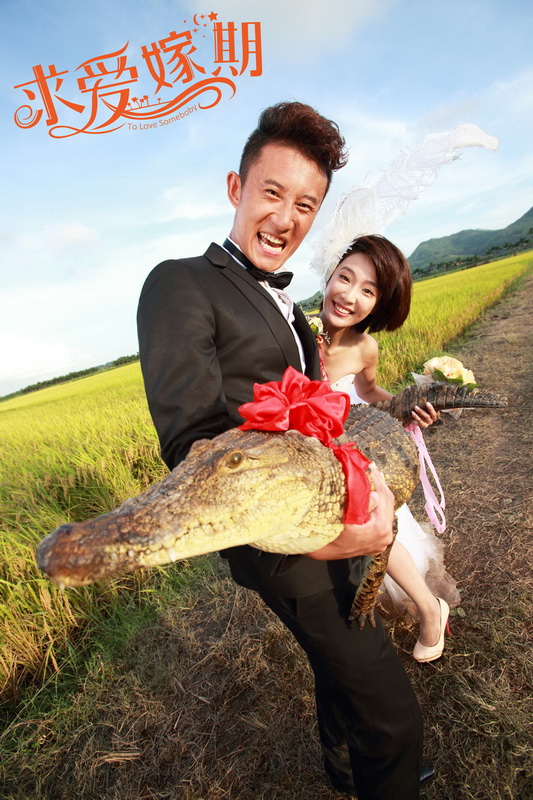 求爱嫁期剧照的剧照