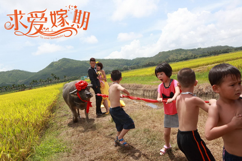 求爱嫁期剧照的剧照