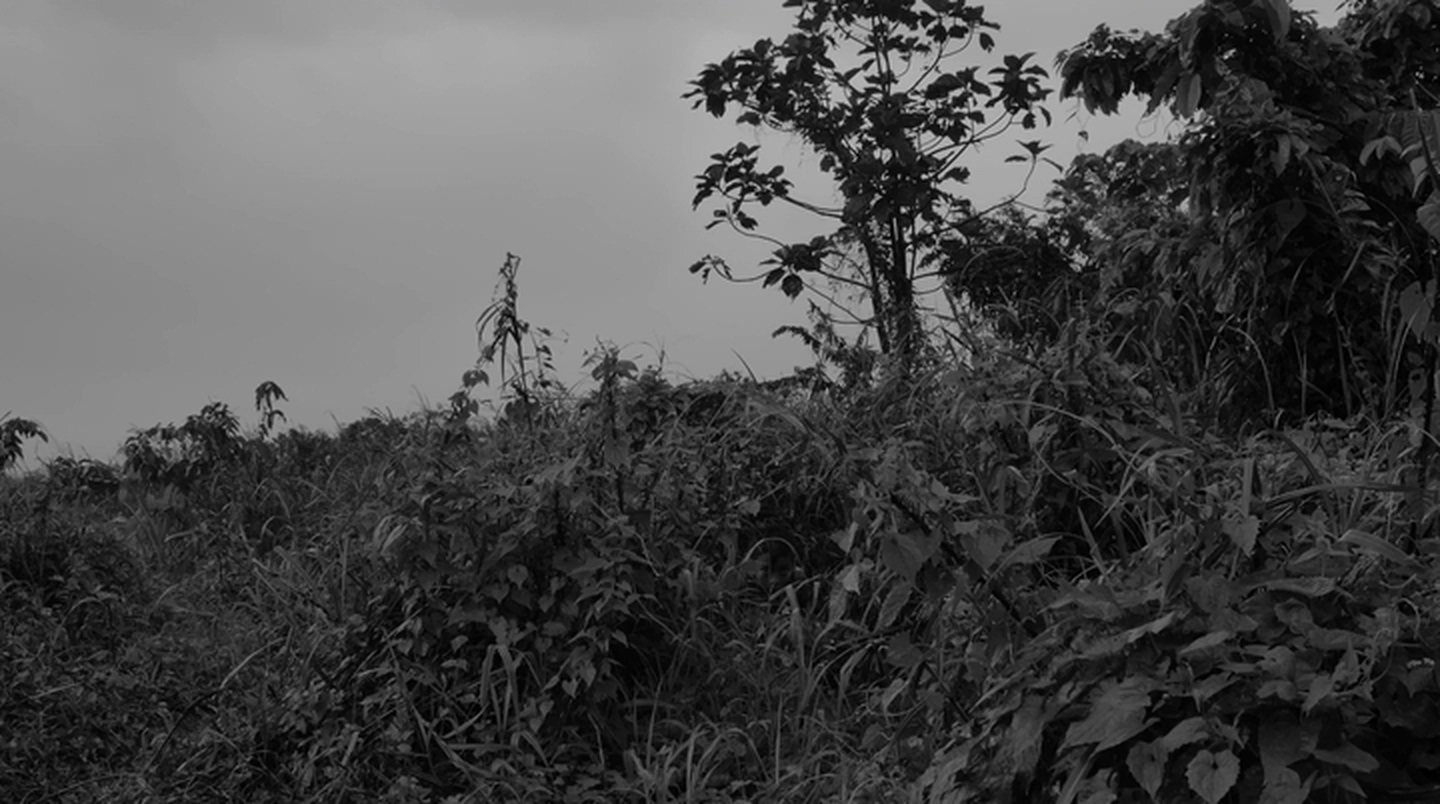 今来古往剧照的剧照