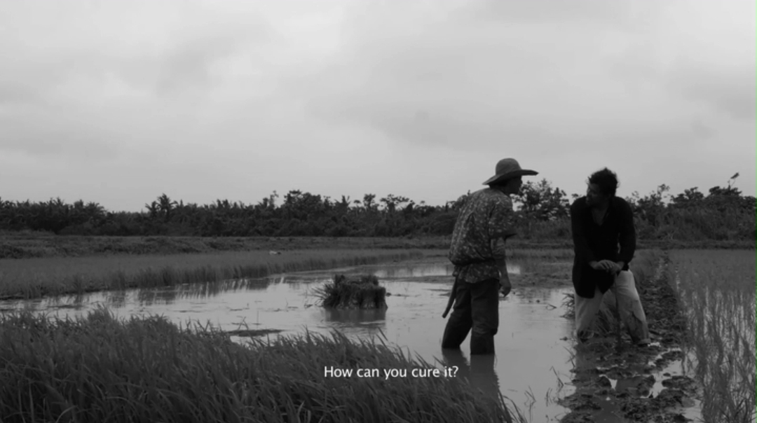 今来古往剧照的剧照