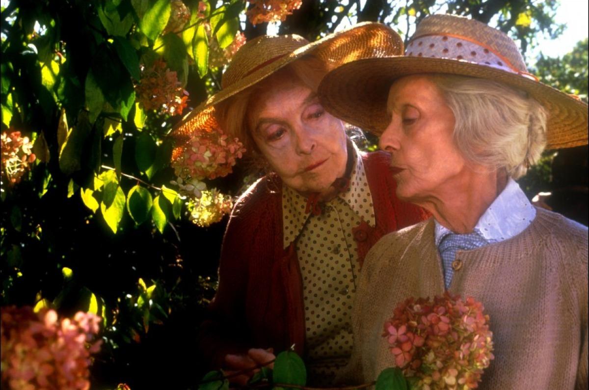 八月的鲸鱼剧照的剧照